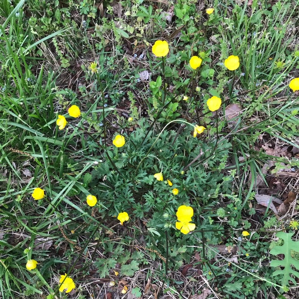 Meet your Posher, Giulia